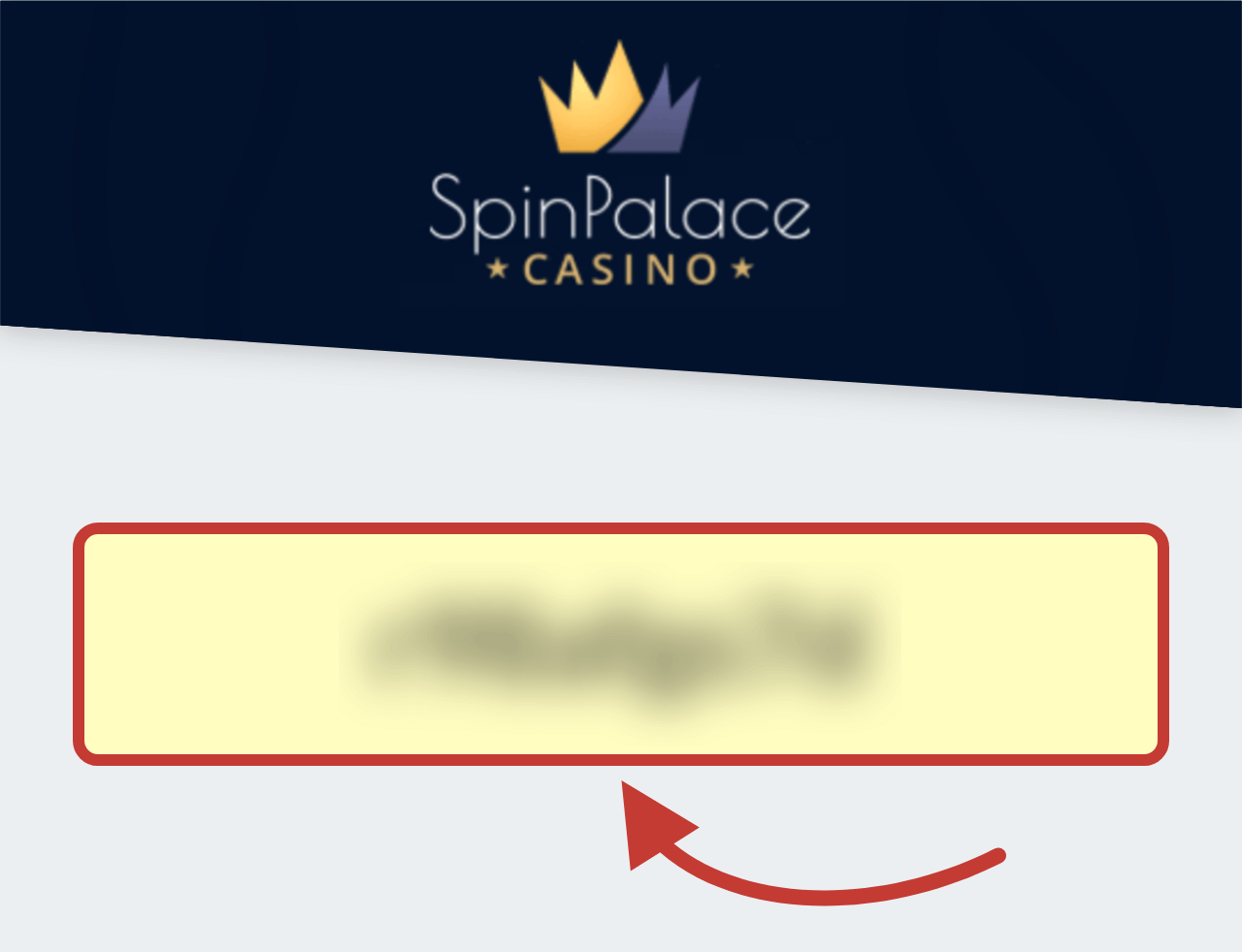 Spin Palace Bonus Codes