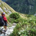 New Zealand Walking Tours And Travel Packages
